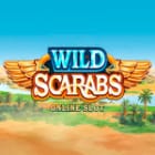 Wild Scarabs screenshot