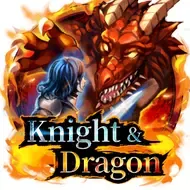 Knight and DragonPlayace